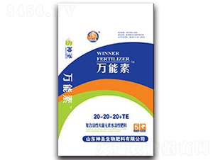 �f����20-20-20+TE-��ʥ����