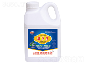 �����-��ʥ����