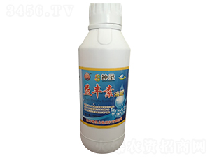 ���S��Һ��-��ʥ����