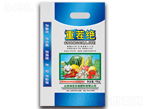 �ز�^-��ʥ����