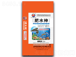 ��ˮ��-��ʥ����