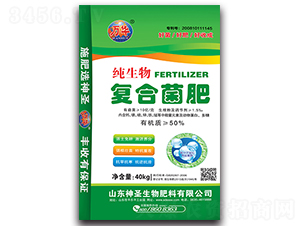 �ͺϾ���-��ʥ����