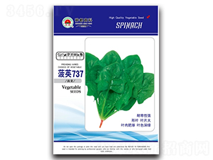 ��Ӣ737-���˷N��-�߿ƷN�I(y��)