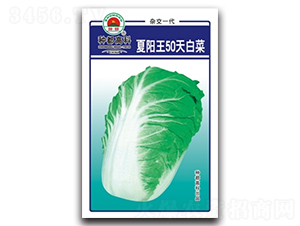 ���(y��ng)��50��-�ײ˷N��-�߿ƷN�I(y��)