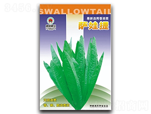 �_����-�����˷N��-�߿ƷN�I(y��)