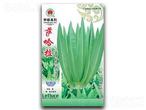 �_����-�����˷N��-�߿ƷN�I(y��)