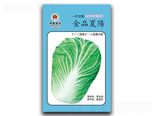 ��Ʒ���(y��ng)-�ײ˷N��-�߿ƷN�I(y��)