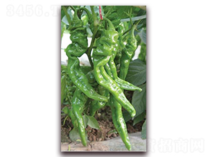 �M�S��̖-�⽷�N��-ɣ�r(n��ng)�N�I(y��)