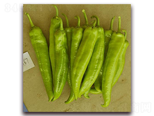 ����121-�⽷�N��-ɣ�r(n��ng)�N�I(y��)