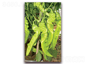 ����601-�⽷�N��-ɣ�r(n��ng)�N�I(y��)