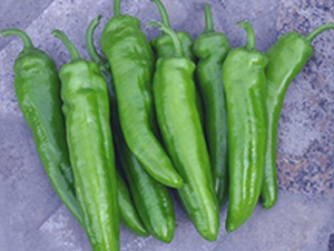 ����901-�⽷�N��-ɣ�r(n��ng)�N�I(y��)