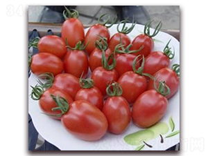 ��õ��-���ѷN��-ɣ�r(n��ng)�N�I(y��)