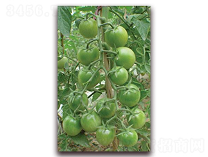 ���-���ѷN��-ɣ�r(n��ng)�N�I(y��)