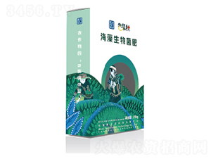 �����������-��֮��