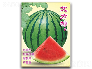 ������-���ϷN��-�߿ƷN�I(y��)