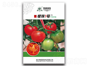 ����һ̖-���ѷN��-�߿ƷN�I(y��)