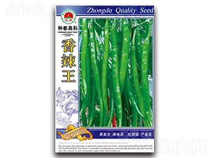 ������-�����N��-�߿ƷN�I(y��)