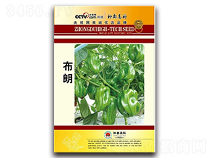 ����-�����N��-�߿ƷN�I(y��)