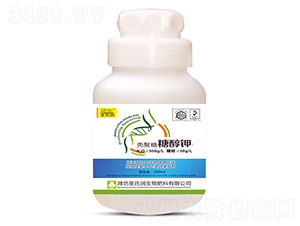 �������Ǵ��-ʥ�ϝ�