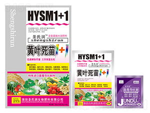 �S�~����1+1-ʥ�ϝ�