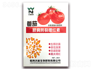 ����Ě���������t��-��������