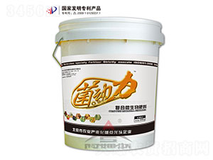 ����(d��ng)��-���o(j��)��ķ˹