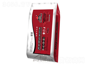 ��(f��)��΢�������-����ʮ����-��ķ˹