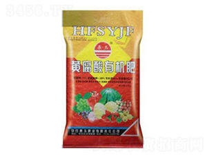 �S�����ЙC(j��)��-̩��ʘI(y��)