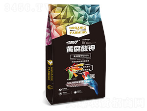 �S�����-�����-��(r��n)��Դ