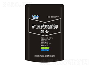 �VԴ�S�����-�̿�-�̓�(n��i)�_(d��)