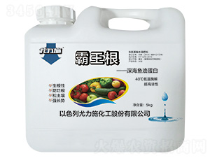 ������-����ʩ-����Դ