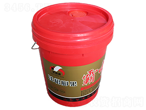 �ָ�������а�-�A���r��