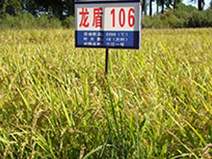 ����106-ˮ���N��-ɏ�R�r(n��ng)�I(y��)