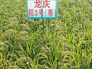 ���c��3̖-ˮ���N��-ɏ�R�r(n��ng)�I(y��)