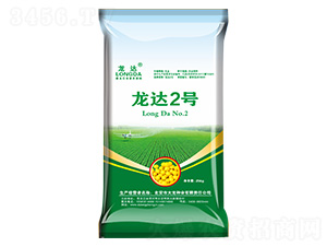 ���_2̖-���_-�����N�I(y��)