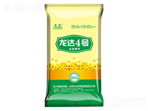 ���_4̖-���_-�����N�I(y��)