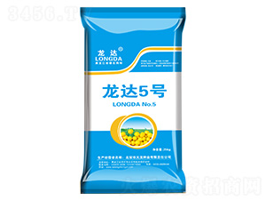 ���_5̖-���_-�����N�I(y��)