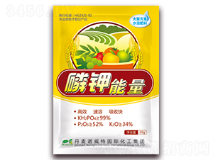 �������-�����Z����