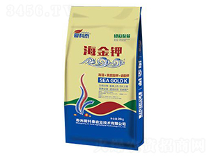 �����-�ۿ�̩