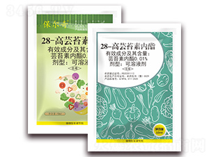 28-���|̦�؃�(n��i)��-������-�S�՘�