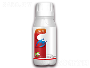 10%ϩ��x��-��ɷ-�S�՘�