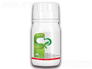 5%���ȡ��׾S�}-ԥ���R-�S�՘�