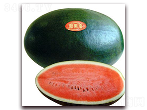 �ºڌ�����-���ϷN��-���\(ch��ng)�N��