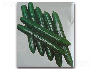 ����С�S��-�S�ϷN��-���\�N��