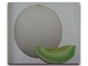 �G�x���-��ϷN��-���\(ch��ng)�N��