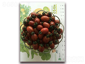 ��С��-���ѷN��-���\(ch��ng)�N��