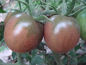 ����50С����-���ѷN��-���\�N��