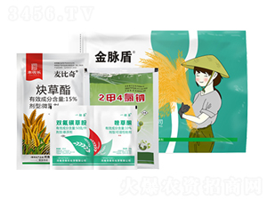 ���}��-�S�՘�