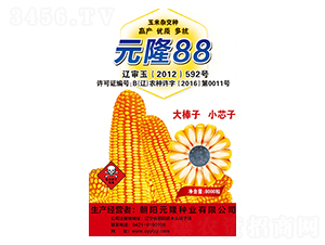 Ԫ¡88-Ԫ¡�N�I(y��)