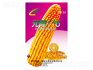 Ԫ¡116�N��-Ԫ¡�N�I(y��)